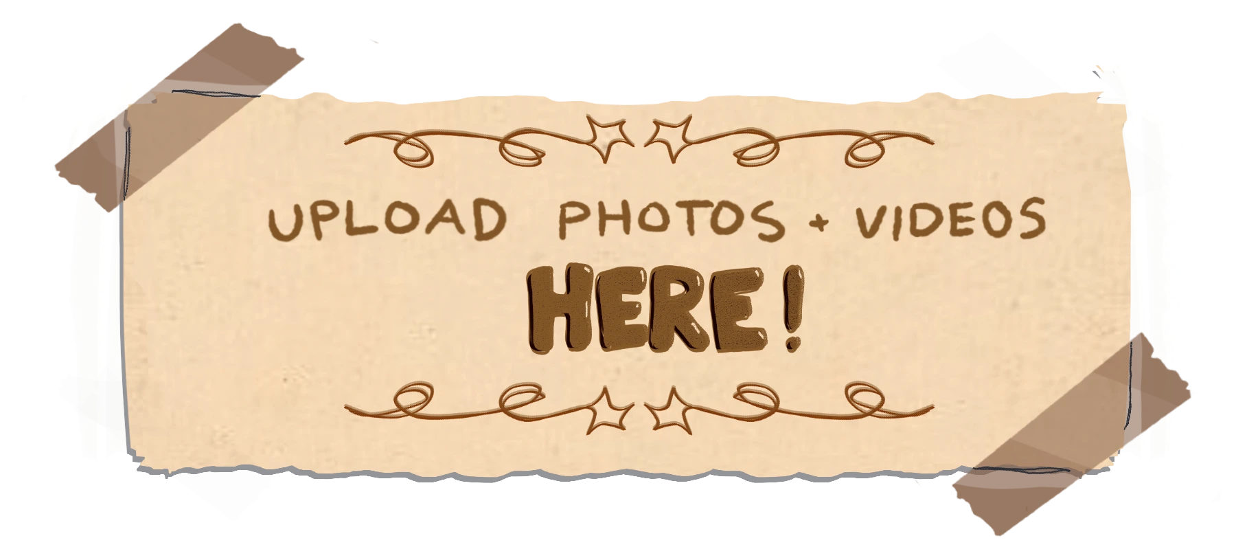 Upload Photos and Vids Here